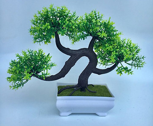 Sử dụng cây bonsai mini để bàn mang ý nghĩa tốt về mặt phong thủy